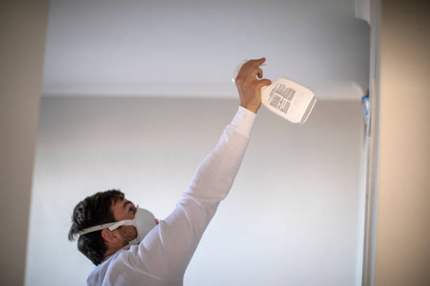 Best Crawl Space Mold Removal  in Mccla, AL