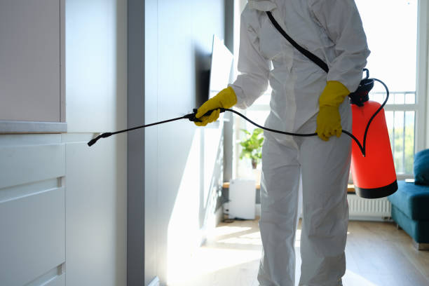 Best Professional Mold Removal  in Mccla, AL