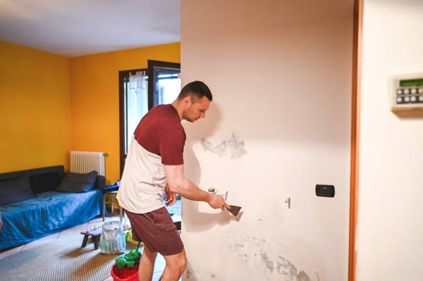 Best Water Damage Restoration  in Mccla, AL