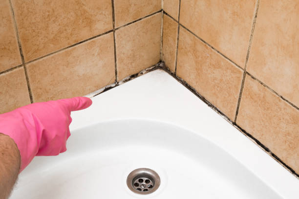 Best Residential Mold Removal  in Mccla, AL